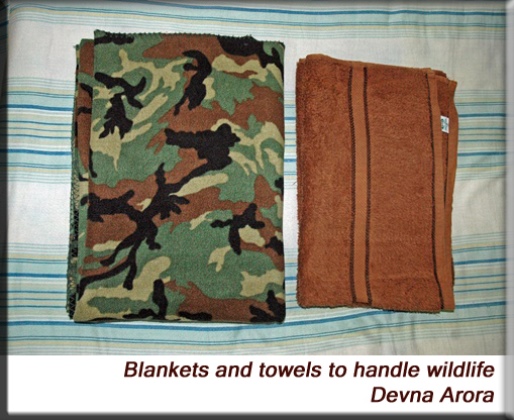 Devna Arora - Blankets and towels